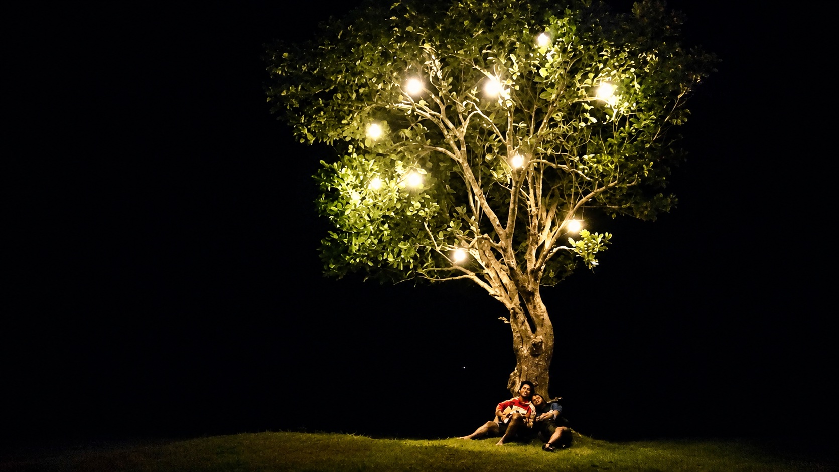 A lone tree at night strung with glowing lights, two friends resting beneath